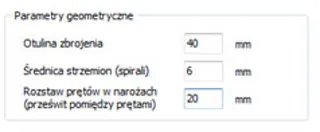Obciążenia fundamentu palowego i pala